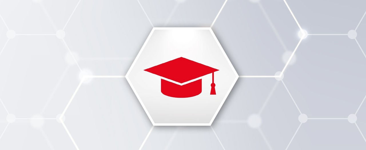 Graphic vida advantage education
