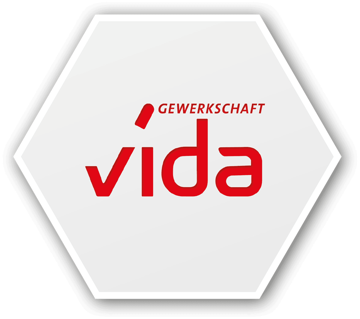 vida Logo Hexagon