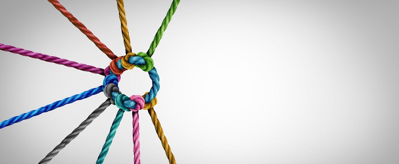 Several ropes knotted - a network