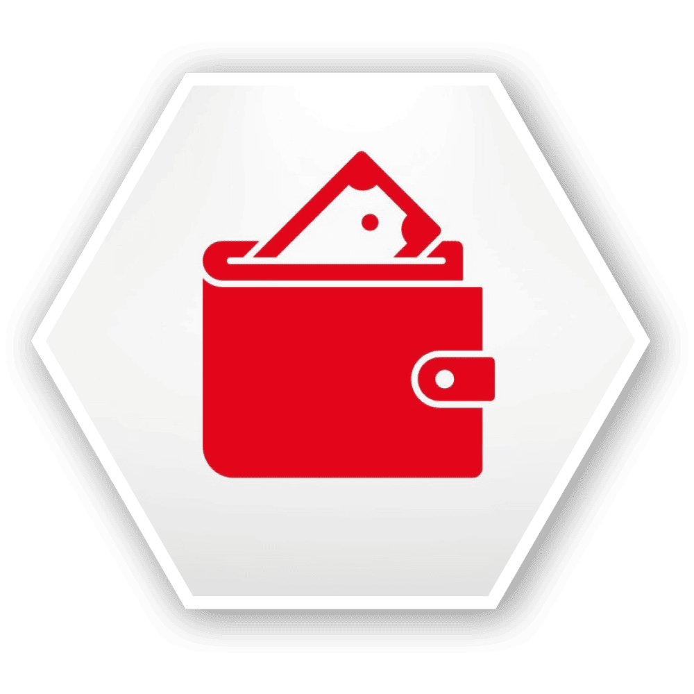 Icon vida Vorteil Geld und Unterstützung